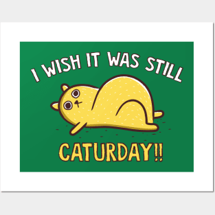 I wish it was still caturday Posters and Art